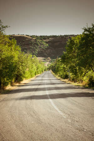 Country road beetwen trees and mountainsの写真素材