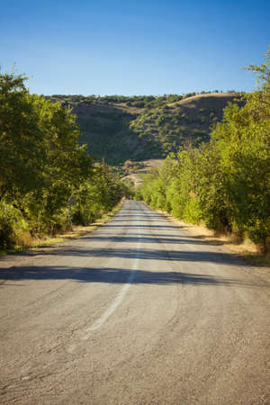 Country road beetwen trees and mountainsの写真素材