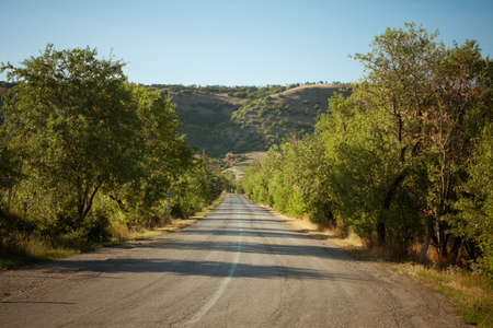 Country road beetwen trees and mountainsの写真素材