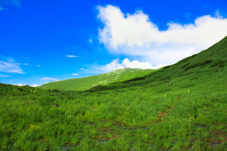 Beautiful landscape in Carpathianの写真素材