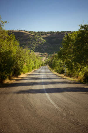Country road beetwen trees and mountainsの写真素材