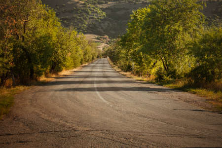 Country road beetwen trees and mountainsの写真素材