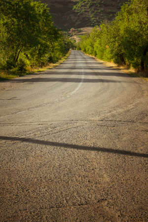Country road beetwen trees and mountainsの写真素材
