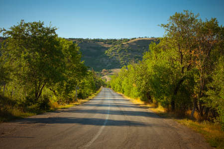 Country road beetwen trees and mountainsの写真素材