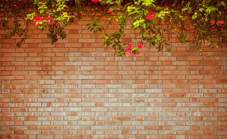 grunge wall background with flowersの写真素材
