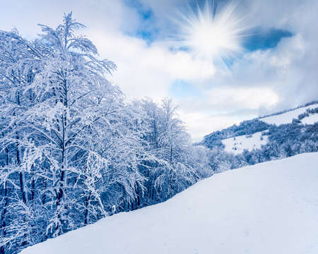 Beautiful winter landscapeの写真素材
