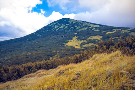 Beautiful mountains landscape in Carpathianの写真素材