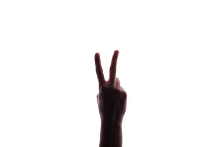 Female woman hand  isolated on the whiteの写真素材