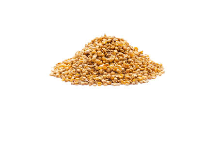 Indian spice isolated on white backgroundの写真素材