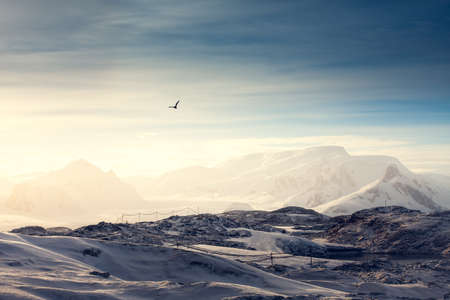 Beautiful snow-capped mountains against the sunset sky in Antarcticaの写真素材