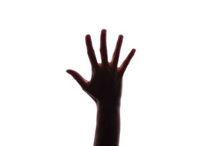 Female woman hand  isolated on the whiteの写真素材