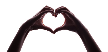 Female woman hand  isolated on the whiteの写真素材