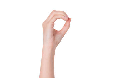 Female woman hand  isolated on the whiteの写真素材