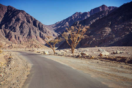 Road through the desert and sandy hillsの写真素材