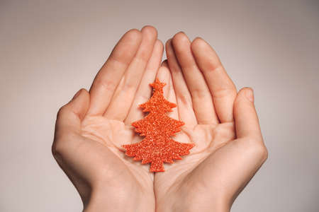 Christmas background. Christmas Tree in humans handの写真素材