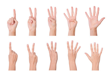 One to five fingers count signs isolated over white backgroundの写真素材