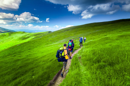 Young people are hiking in Carpathian mountains in summertimeの写真素材