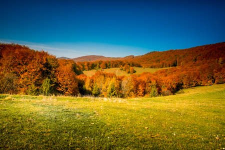 Fantastic sunny hills under morning blue sky. Dramatic scenery. Carpathian, Ukraine, Europe. Beauty world.の写真素材