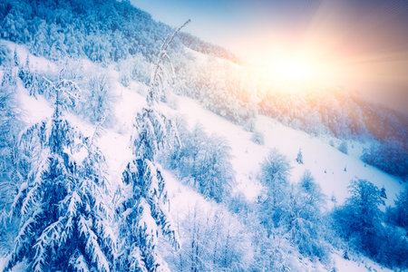 Amazing evening winter landscape. Carpathian, Ukraine, Europe. Retro style filter. の写真素材