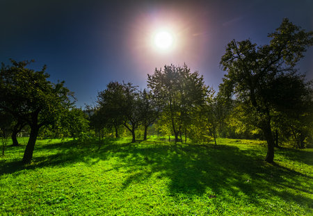 Colorful autumn landscape. Carpathian mountains, Ukraine, Europe.の写真素材
