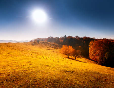 Fantastic sunny hills. Carpathian, Ukraine, Europe. Beauty worldの写真素材