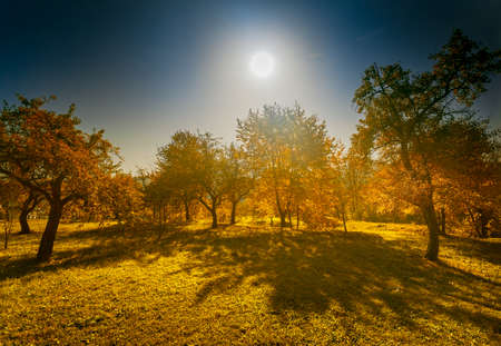 Autumn trekking by beautiful Carpathian mountains in Ukraine, Europe.の写真素材