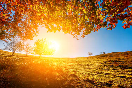 Colorful autumn landscape. Carpathian mountains, Ukraine, Europe.の写真素材