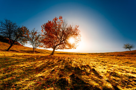 Colorful autumn landscape. Carpathian mountains, Ukraine, Europe.の写真素材