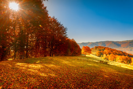 Colorful autumn landscape. Carpathian mountains, Ukraine, Europe.の写真素材