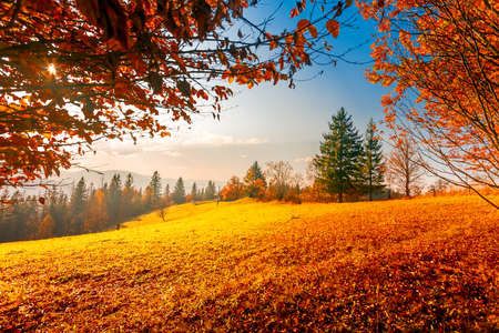 Colorful autumn landscape. Carpathian mountains, Ukraine, Europe.の写真素材