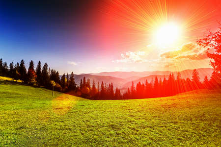 Fantastic sunny hills. Carpathian, Ukraine, Europe. Beauty worldの写真素材