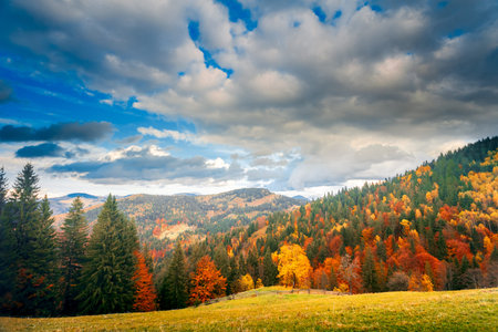 Colorful autumn landscape. Carpathian mountains, Ukraine, Europe.