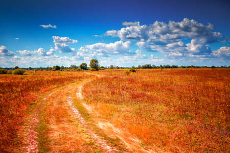 Empty countryside road through fields. Blue sky. Europe, Ukraineの写真素材