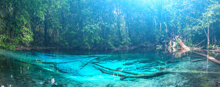 Emerald blue Pool. Krabi, Thailand. Amazing blue water in the beautiful lake at the forestの写真素材