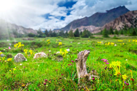 Beautiful landscape in Himalayas mountains, Annapurna area.の写真素材