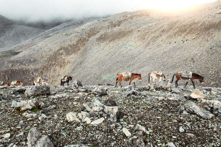 Beautiful landscape in Himalayas mountains, Annapurna area.の写真素材