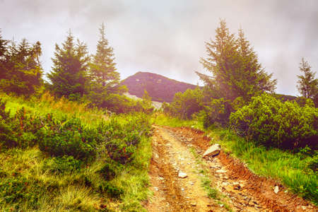 Trail leading through the mountain valley. Beauty world.の写真素材