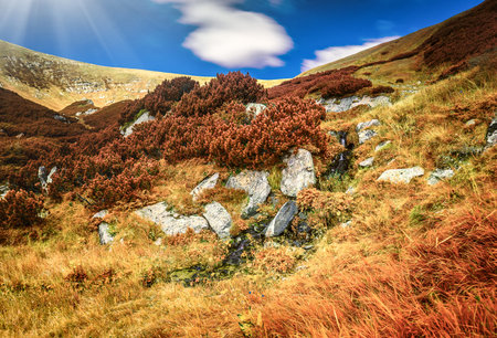 Chorna hora mountain range.  Carpathian mountains. Ukraineの写真素材