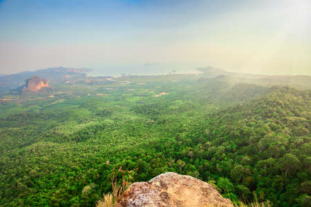 Green forest and rocks. Blue sky and beautiful landscapeの写真素材