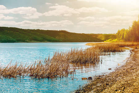 Coast of the big river under sunshine. Beautiful river banks with green trees and bushesの写真素材