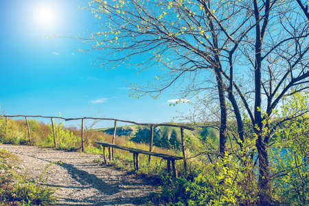 Beautiful road landscape in Bakota Park, Ukraineの写真素材