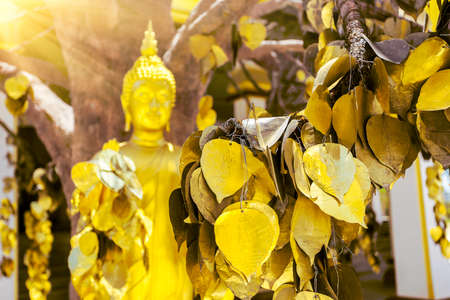 Buddha statue with golden leaves in Thailandの写真素材