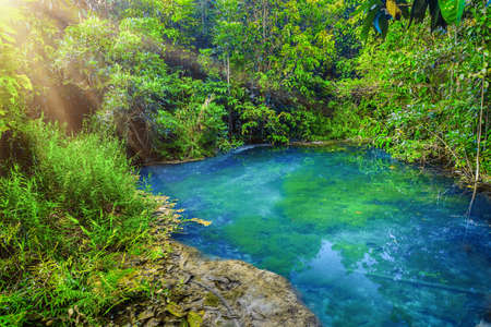 Closeup view of calm blue water with trees in green forest. Emerald blue Pool, Krabi province, Thailandの写真素材