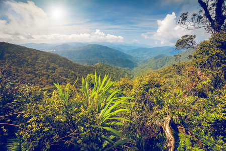 beautiful mountains landscape in Cameron highlands, Malaysiaの写真素材
