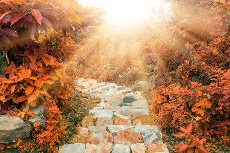 beautiful stone road under sunshine in Nepal, Annapurna trekking