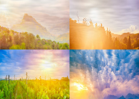 four natural landscapes reflected in waterの写真素材