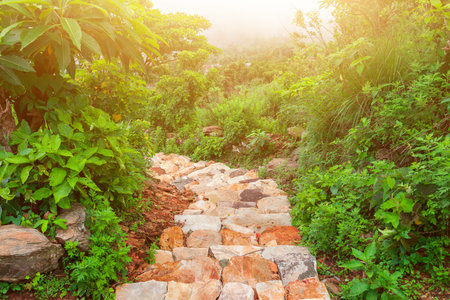 beautiful stone road under sunshine in Nepal, Annapurna trekkingの写真素材