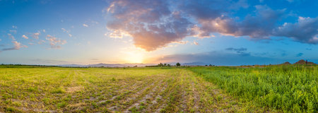 field and blue sky with clouds on sunset. Exploring Armenia