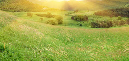 Beautiful landscape with green meadow in mountains in sunsetの写真素材