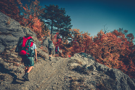 Young people are hiking in mountains in autumn. Carpathians, Ukraine, Europe. Beauty world. Vintage filterの写真素材